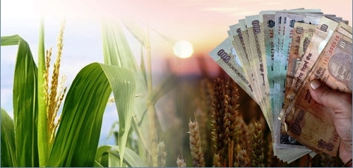 शेतकऱ्यांना ३० जूनपूर्वी संपूर्ण कर्जमाफी; आता ‘मर्यादा’ नाही, थेट सातबारा होणार कोरा!