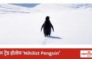 trending story I का प्रत्येकाच्या स्टेटसला आणि इन्स्टाच्या फिडला दिसतोय पेंग्विन ? नेमका विषय तरी काय ?