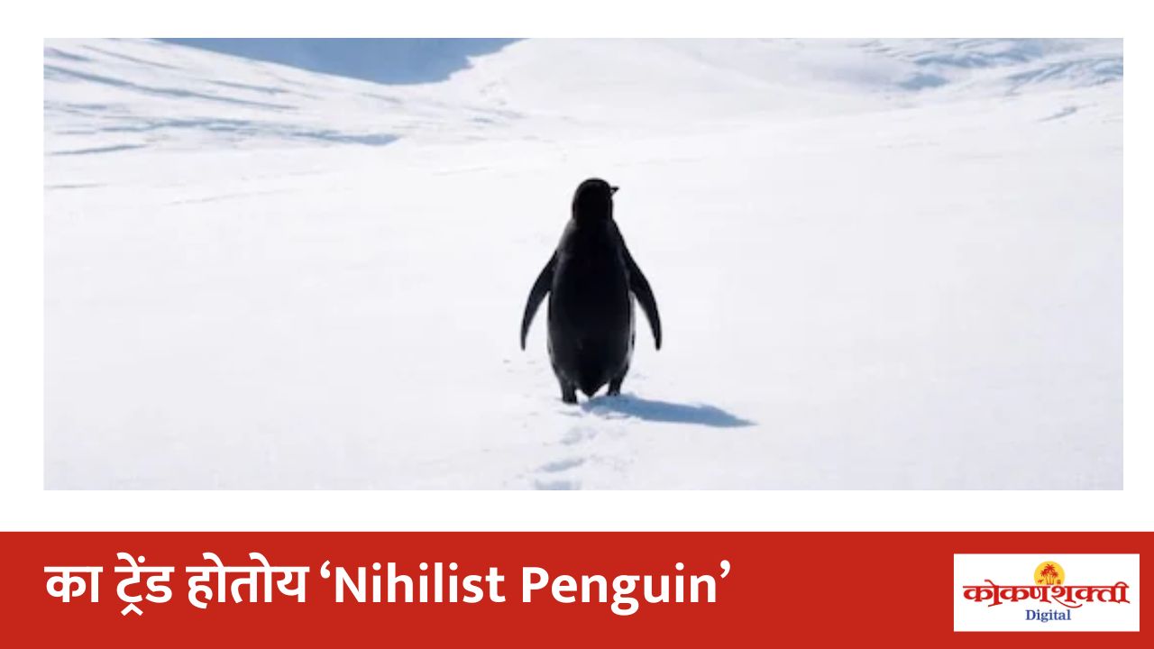 trending story I का प्रत्येकाच्या स्टेटसला आणि इन्स्टाच्या फिडला दिसतोय पेंग्विन ? नेमका विषय तरी काय ?