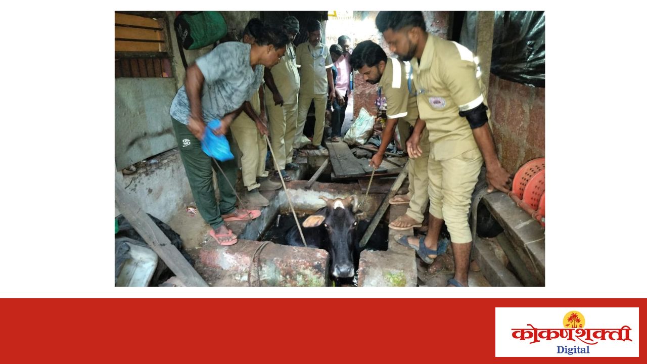 मालवण वायरी येथे टाकीत पडलेल्या गोमातेची बजरंग दलाच्या कार्यकर्त्यांकडून सुटका