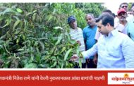 पालकमंत्री नितेश राणे यांनी केली नुकसानग्रस्त आंबा बागांची पाहणी, शेतकऱ्यांना मदत मिळवून देण्यासाठी सर्वतोपरी प्रयत्न करणार -पालकमंत्री नितेश राणे
