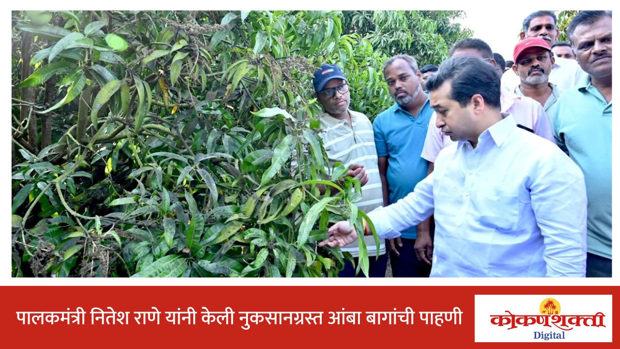 पालकमंत्री नितेश राणे यांनी केली नुकसानग्रस्त आंबा बागांची पाहणी, शेतकऱ्यांना मदत मिळवून देण्यासाठी सर्वतोपरी प्रयत्न करणार -पालकमंत्री नितेश राणे