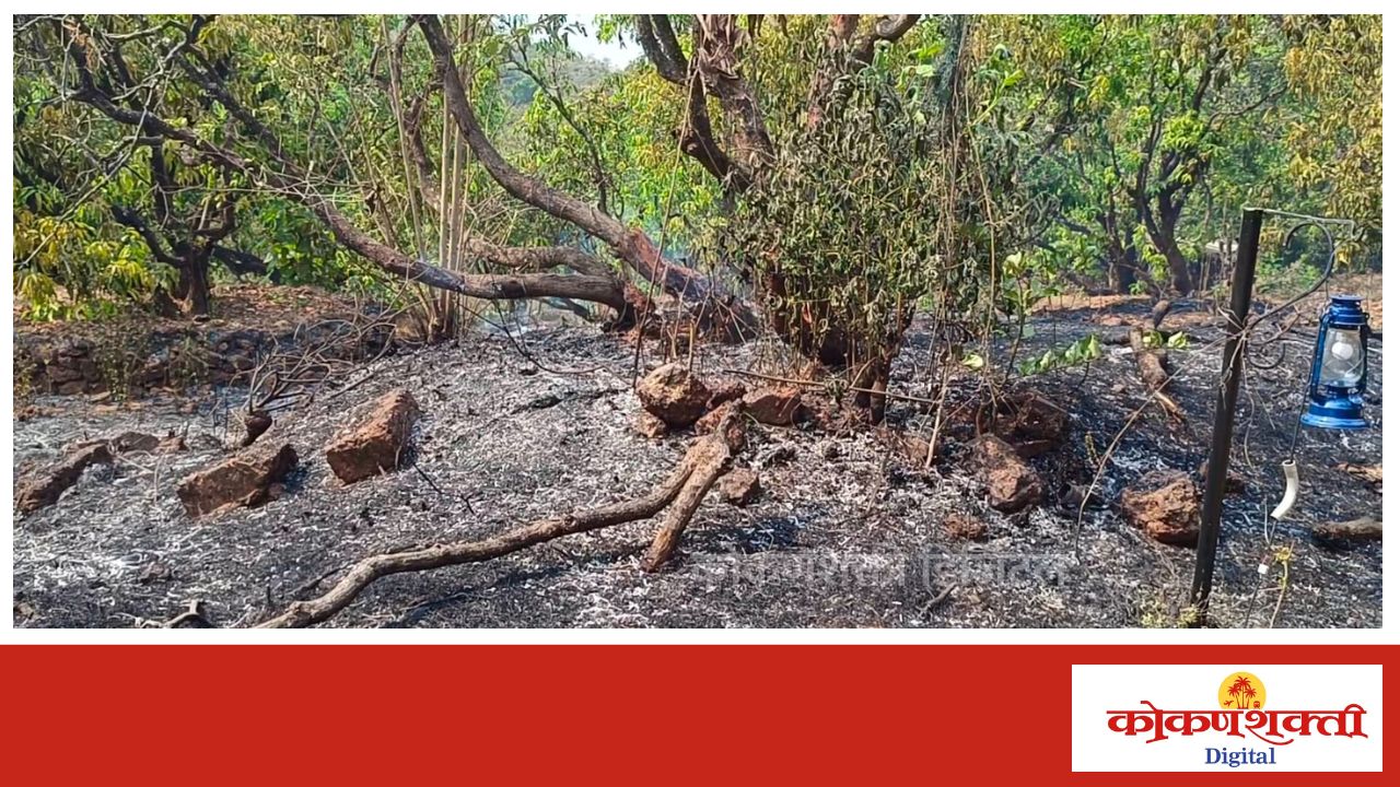 कांदळगाव येथे आग लागून आंबा- काजू बागायतीचे मोठे नुकसान