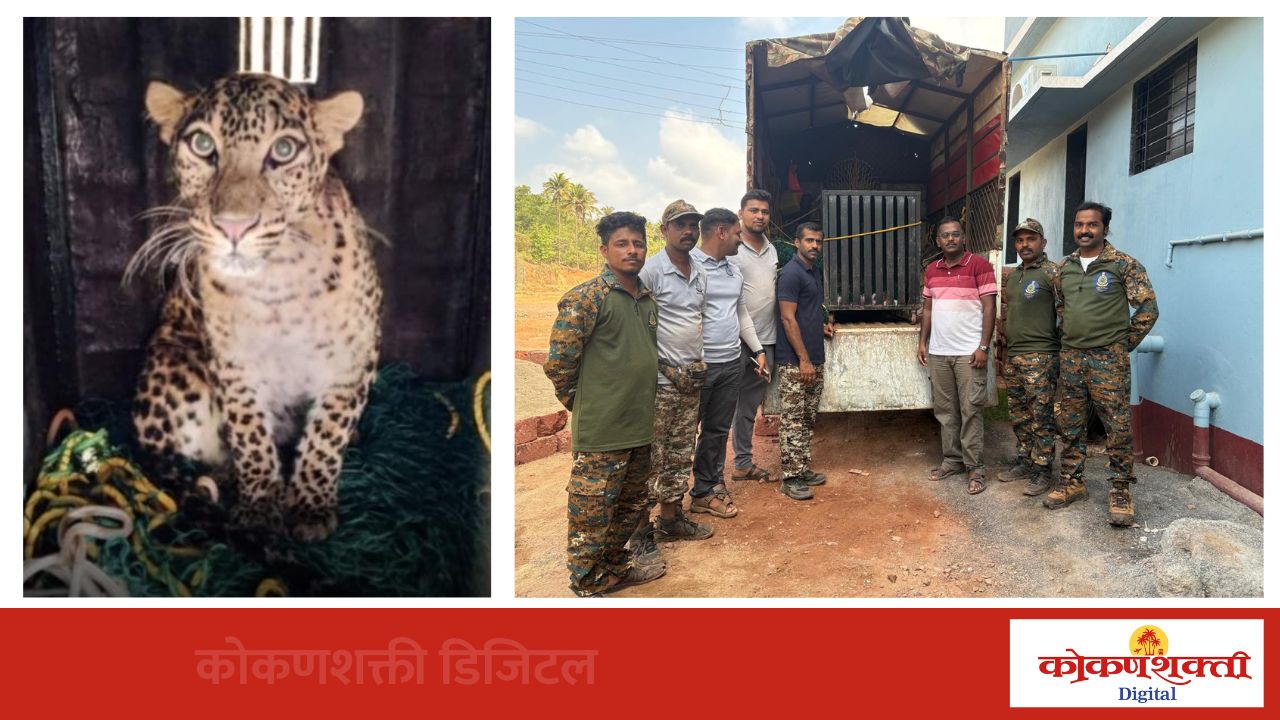 जागतिक बिबट्या दिनी विहिरीत पडलेल्या बिबट्याची सुखरूप सुटका