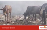 नगरसेवक तपस्वी मयेकर यांच्याकडून डम्पिंग ग्राउंडचा स्पॉट पंचनामा