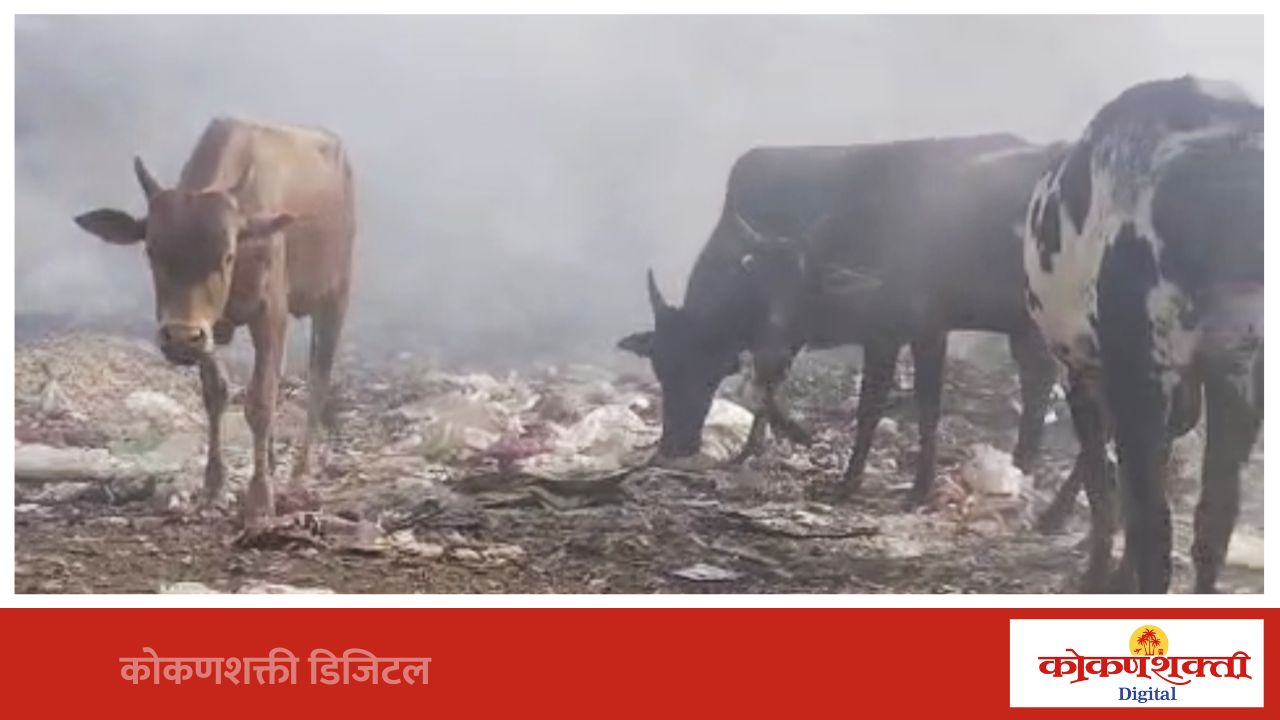 नगरसेवक तपस्वी मयेकर यांच्याकडून डम्पिंग ग्राउंडचा स्पॉट पंचनामा