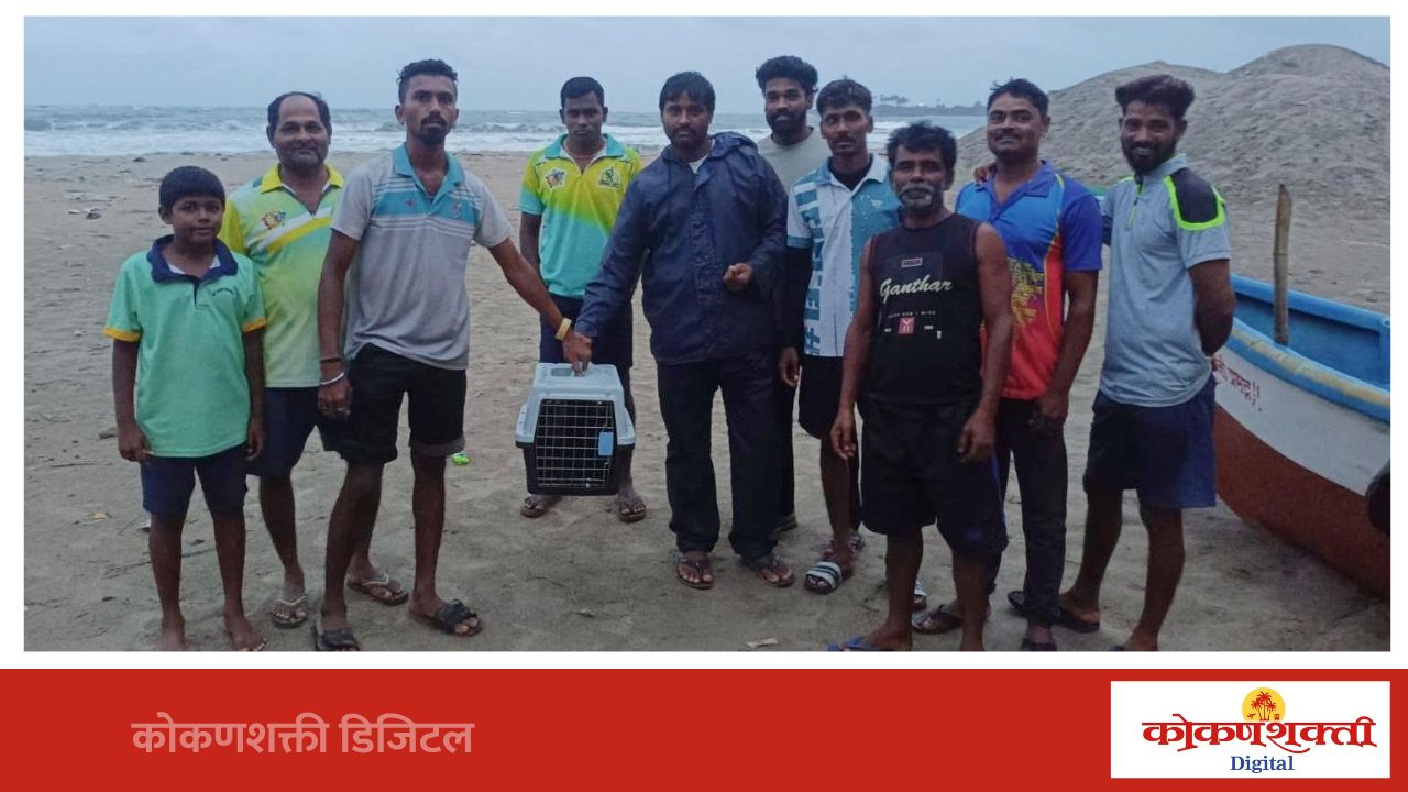 समुद्रकिनारी वाहून आलेल्या 'मास्कड बुबी' या दुर्मिळ पक्ष्याला जीवदान
