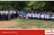 न्यू इंग्लिश स्कूल आचरा येथे वृक्षारोपण