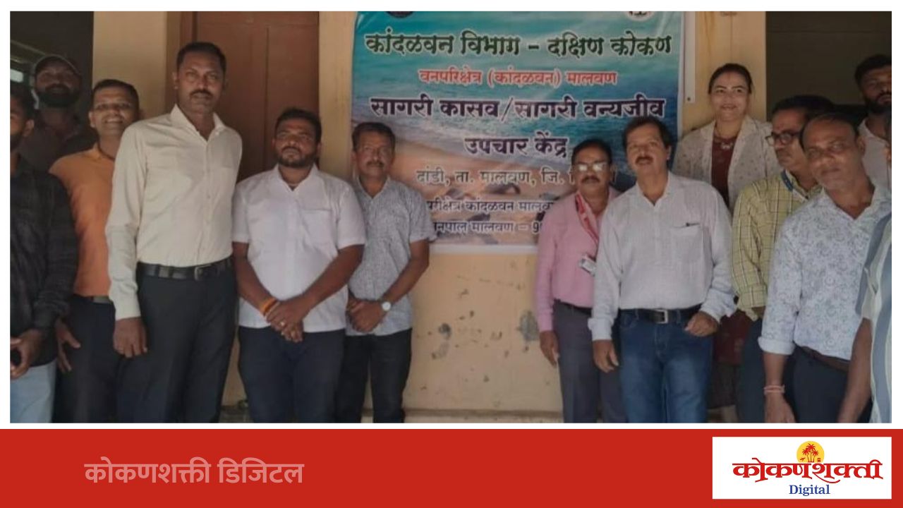 मालवण दांडी येथे तात्पुरते सागरी कासव व सागरी वन्यजीव उपचार केंद्र सुरू
