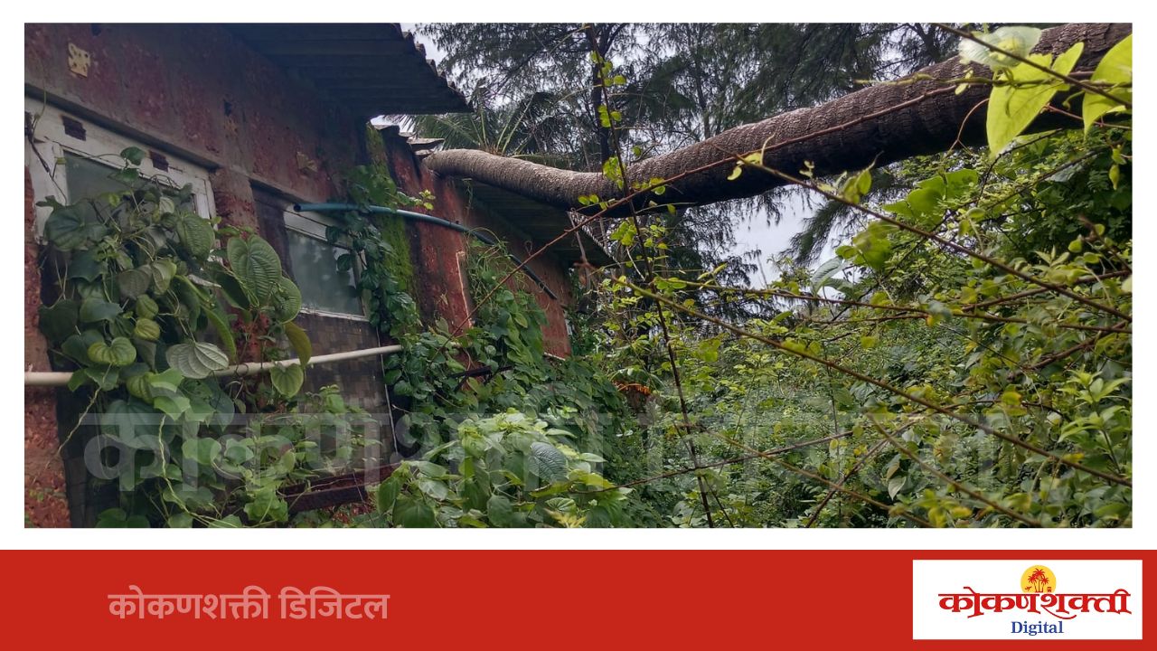 वरची तोंडवळी येथे माड कोसळून रिसॉर्टचे नुकसान