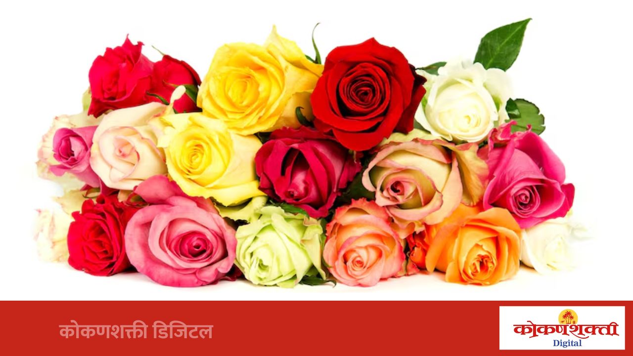१२ जुलैला मालवण तालुका गाबित समाजाचा गुणवंतांचा गौरव सोहळा