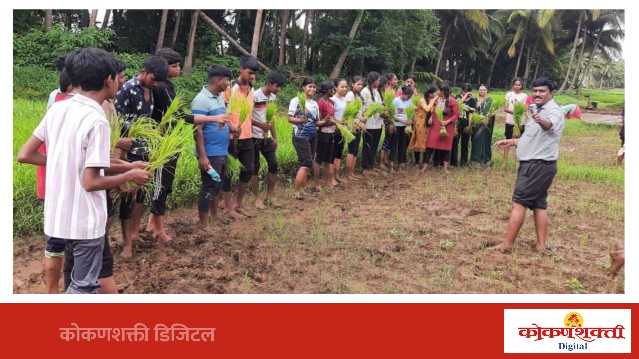 'बांधावरची शिवार शाळा' उपक्रमातून विद्यार्थ्यांनी घेतला भातलागवडीचा प्रत्यक्ष अनुभव
