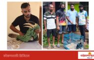 मेढा येथे जखमी अवस्थेत सापडलेल्या मलबारी कवड्या धनेश पक्ष्यावर उपचार