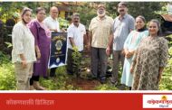 सेवांगण परिसरात लायन्स क्लब ऑफ मालवणतर्फे वृक्षारोपण
