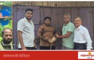 वीजेचा धक्का लागलेल्या माकडाच्या पिल्लाला जीवदान; स्थानिकांच्या तत्परतेमुळे वेळीच उपचार