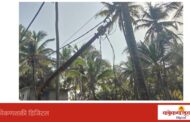 धोकादायक स्थितीत कलंडलेला वीज खांब; अपघाताची भीती, वीज वितरणने तात्काळ कार्यवाही करावी : नगरसेविका दर्शना कासवकर